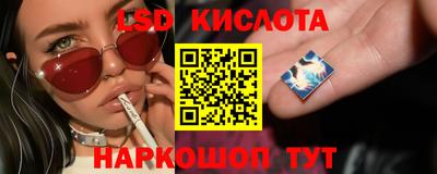 PSILOCYBIN Партизанск